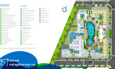 Mặt bằng chung cư Lovera Vistar